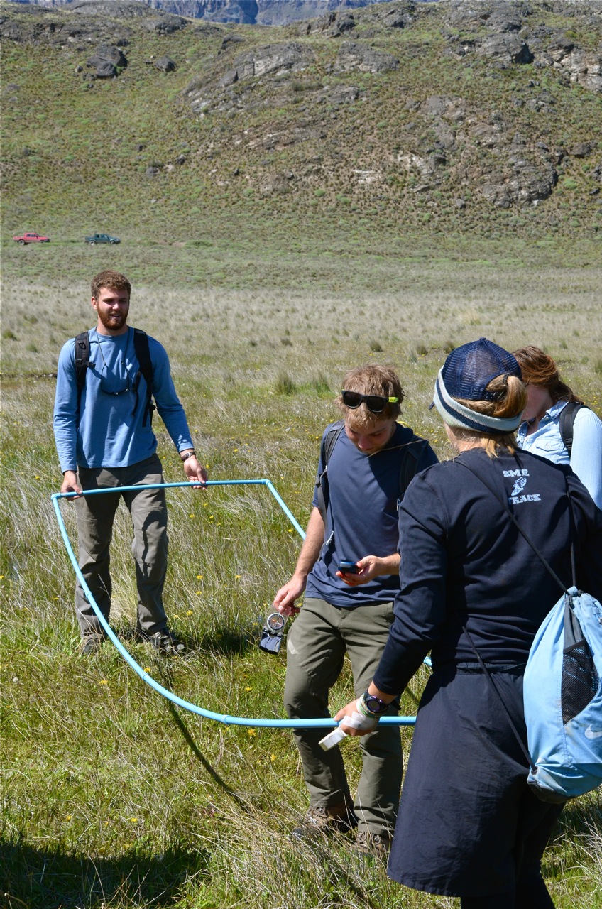 Our first time setting up the quadrat markers