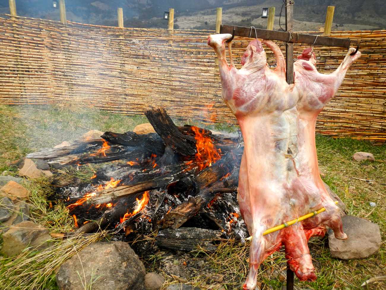 dscn1331.jpg - 202.04 Kb