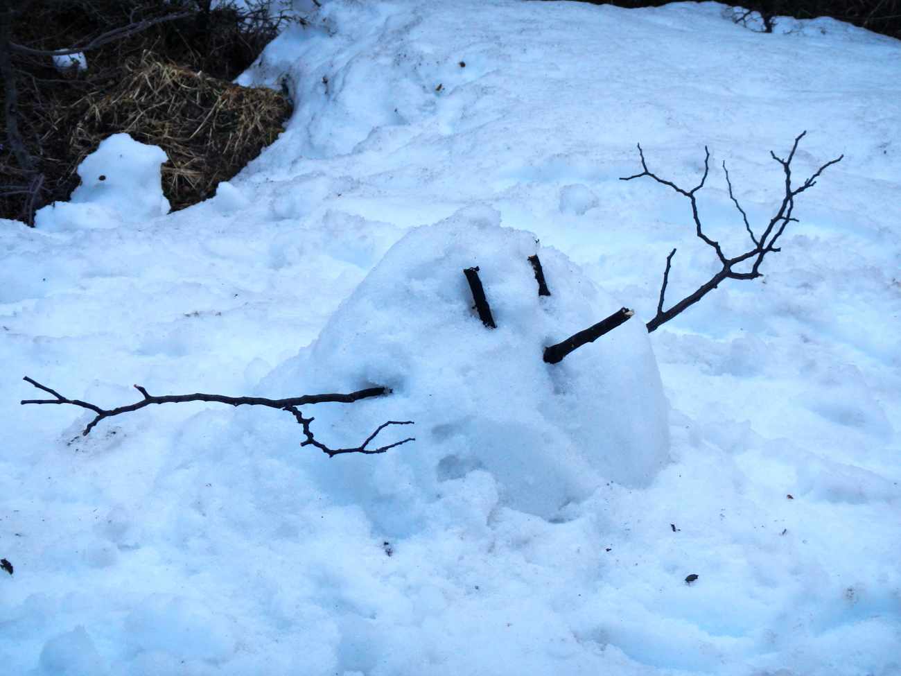 dscn1368.jpg - 72.32 Kb