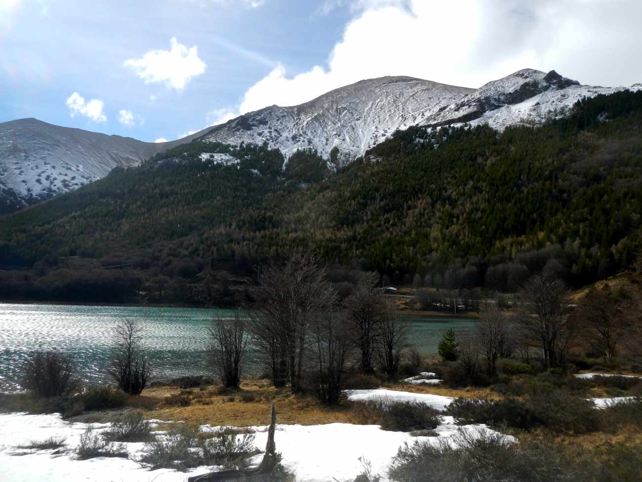 dscn1371.jpg - 111.46 Kb