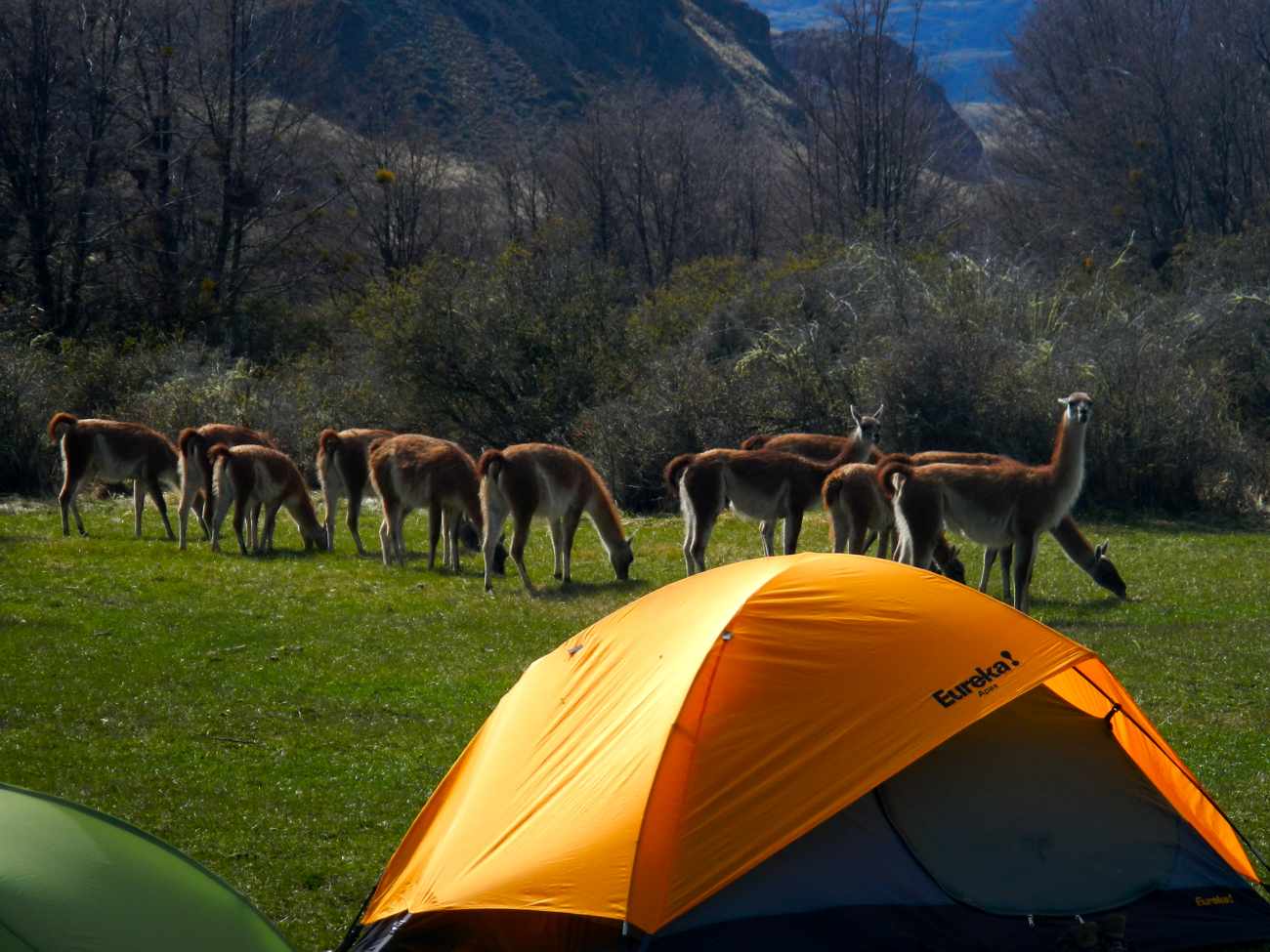 dscn1676.jpg - 111.87 Kb