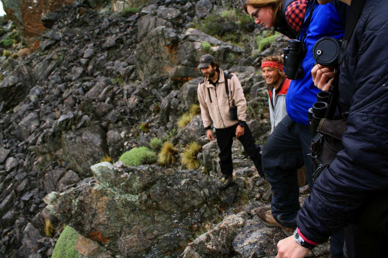 Vizcacha surveys with Cristián