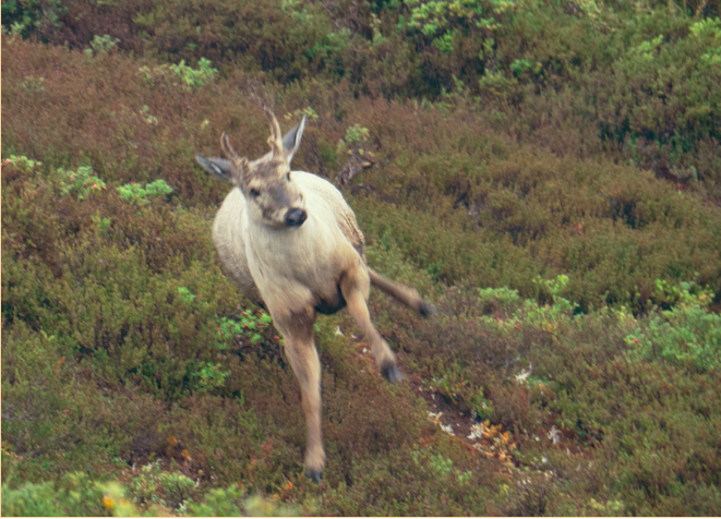 Macintosh HD:Users:kenziehines:Desktop:Bern F19-8.jpg