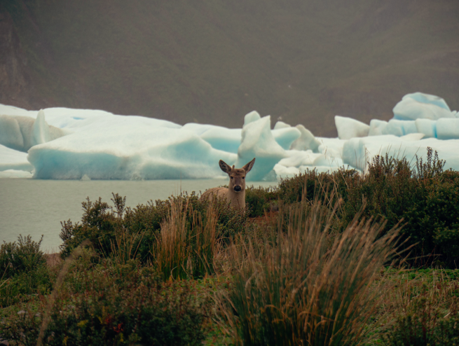 Macintosh HD:Users:kenziehines:Desktop:Bern nov15-35.jpg