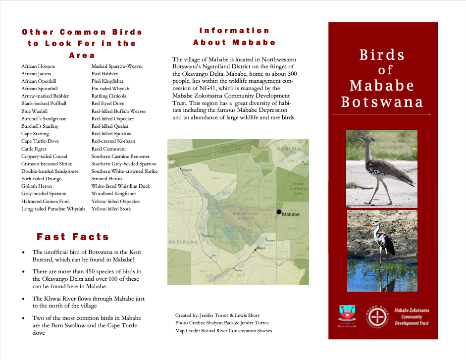 A screenshot of a cell phone
Description automatically generated